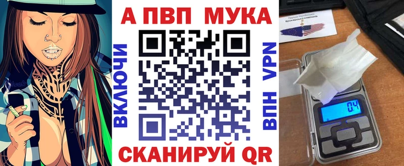ссылка на мегу как зайти где продают Гдов Alpha PVP СК КРИС