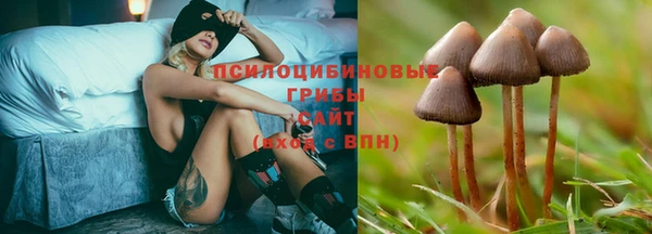 скорость Алексеевка