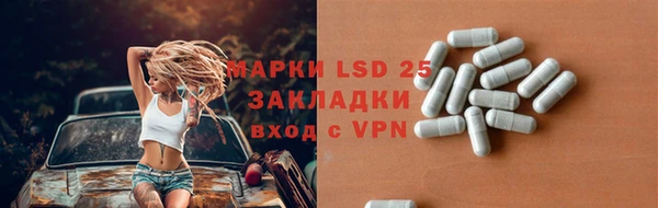 тгк Алзамай