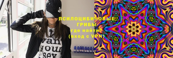 стафф Алексин